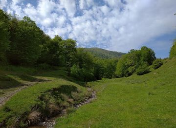 ukraine/pylypets/attraction/temnatik