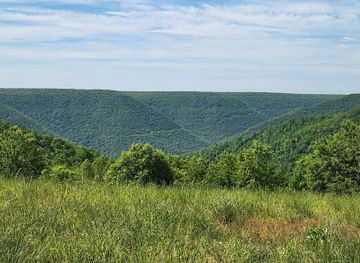 pennsylvania/allegheny-national-forest/attraction/bucktail-overlook-top-of-the-world