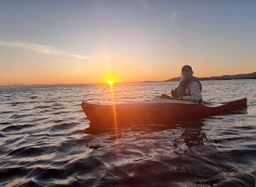 nicaragua/ometepe-island/attraction/bird-watching-biometepe