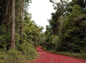 guyana/rupununi/attraction/iwokrama-forest-reserve