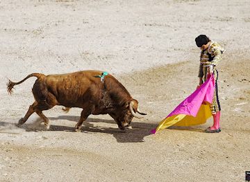 portugal/ribatejo/attraction/praca-de-touros-celestino-graca