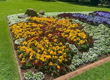 australia/darling-downs/attraction/toowoomba-carnival-of-flowers