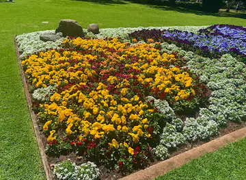 Toowoomba Carnival Of Flowers