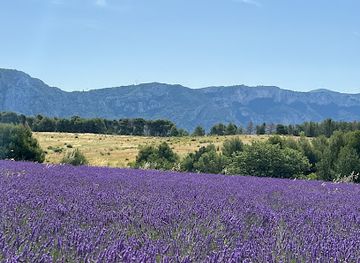 france/provence/attraction/corniche-sublime