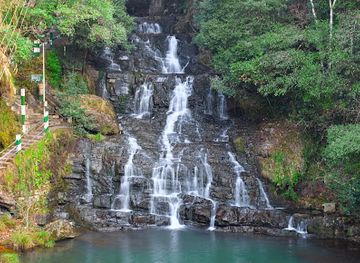 india/meghalaya/attraction/matilang-park