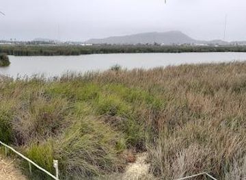 peru/lima/attraction/pantanos-de-villa-wildlife-refuge