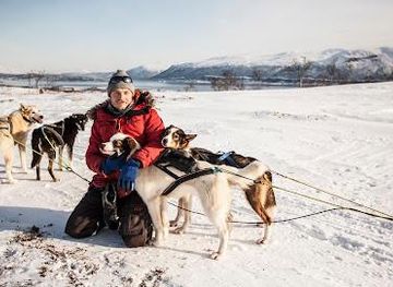 norway/tromso/attraction/arctic-adventure-tours