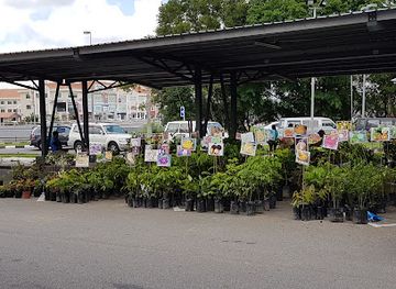 brunei/temburong-district/attraction/gadong-night-market