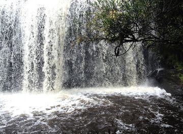 indiana/morgan-monroe-state-forest/attraction/eiteljorg-museum