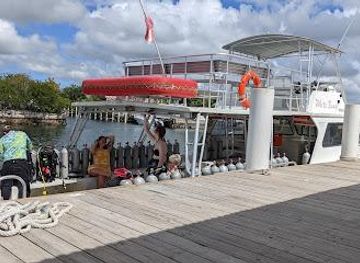 the-bahamas/nassau/attraction/stuart-cove-s