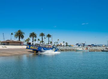 california/san-diego-county/attraction/san-diego-seal-tour