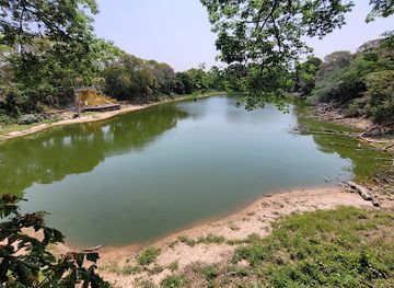 bolivia/santa-cruz-de-la-sierra/attraction/santa-cruz-de-la-sierra-botanical-garden