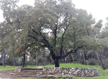 israel/northern-district/attraction/beit-keshet-forest