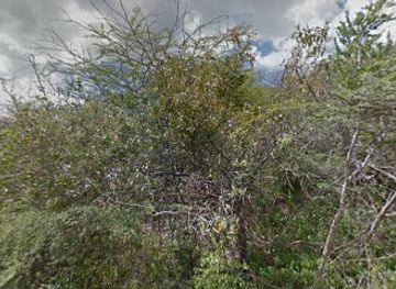 curacao/jan-thiel-beach/attraction/old-fort