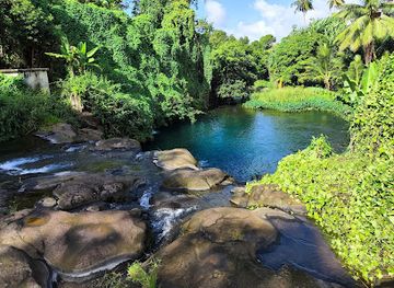mauritius/ganga-talao/attraction/bassin-canon