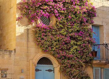 malta/fawwara-area/attraction/bench-with-flowers