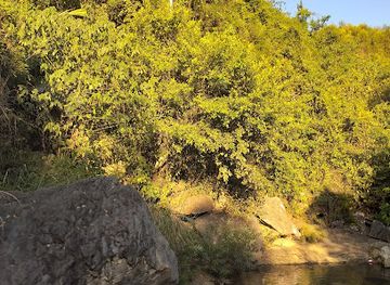 vietnam/north-central-coast/attraction/hang-doi