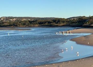 australia/sydney/attraction/dee-why-lagoon