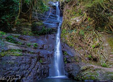 australia/illawarra/attraction/cascade-falls