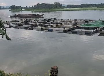 ghana/sogakope/attraction/liu-xi-fish-farm