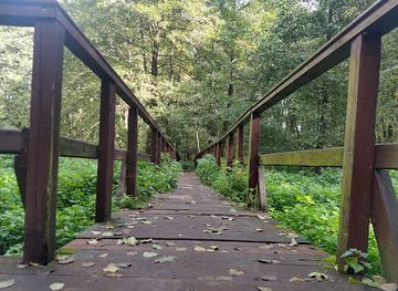 poland/masovia/attraction/las-brodnowski