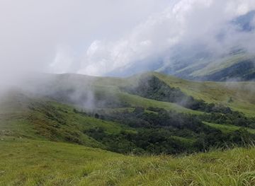 guinea/mount-nimba-strict-nature-reserve/attraction/mount-richard-molard