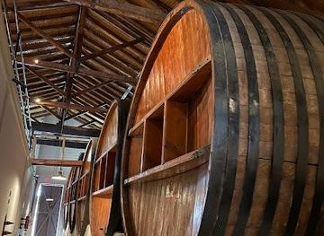 argentina/mendoza/attraction/altieri-family-winery-vinorum