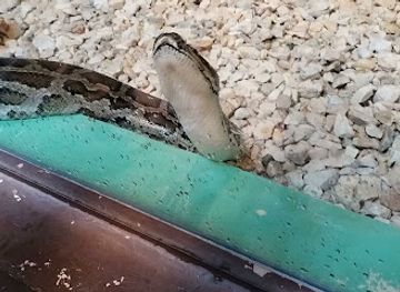 qatar/al-khor/attraction/al-khor-family-park