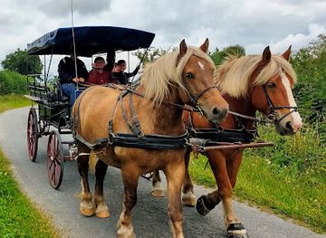 france/limousin/attraction/les-attelages-du-gros-bois-vacances-en-roulotte-avec-cheval