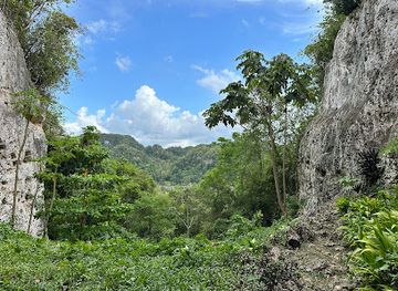 puerto-rico/caribbean-national-forest/attraction/roca-norte-outdoor-climbing-gym