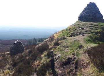ireland/county-laois/attraction/the-stoney-man