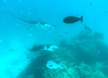 maldives/thoddoo/attraction/madi-gaa