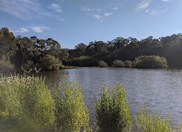 australia/northern-victoria/attraction/wombat-flat-mineral-spring