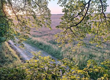 poland/słupsk/attraction/punkt-widokowy-na-drzewie