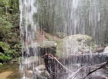 australia/blue-mountains-national-park/attraction/horseshoe-falls-walking-track