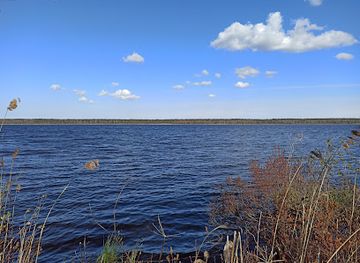 latvia/ventspils/attraction/busnieku-ezera-putnu-verotava