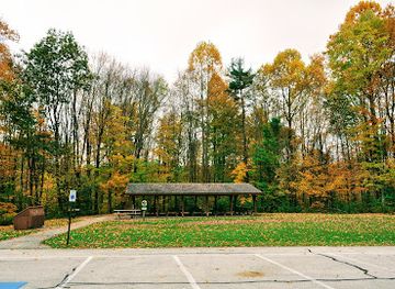 ohio/punderson-state-park/attraction/the-west-woods