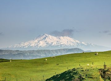 new-zealand/manawatu-wanganui/attraction/ridge-top-farm-walk