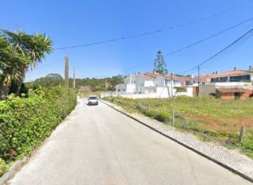 portugal/nazare/attraction/green-roots