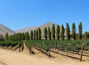 chile/maipo-valley/attraction/vina-santa-rita