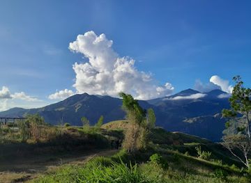 papua-new-guinea/morobe-province/attraction/botanic-park