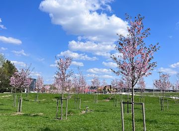 lithuania/kaunas-region/attraction/kaunas-and-japan-friendship-park