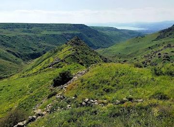 israel/nazareth/attraction/gamla-nature-reserve
