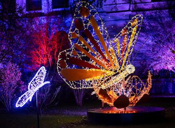 bosnia-and-herzegovina/sarajevo-canton/attraction/festival-svjetla-sarajevo