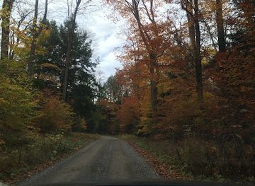 pennsylvania/allegheny-national-forest/attraction/tionesta-natural-area