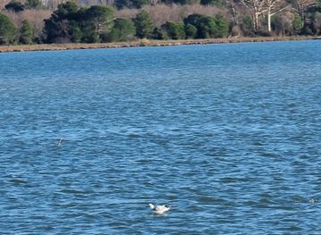 albania/kurbin/attraction/laguna-e-patokut-fushe-kuqe-albania