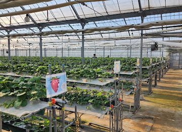 japan/tosa/attraction/tosu-berry-forest