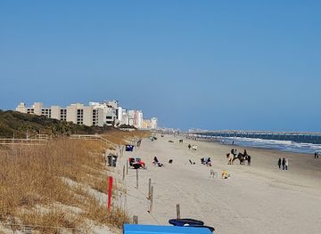 south-carolina/myrtle-beach/downtown-myrtle-beach/attraction/myrtle-beach-state-park-pier