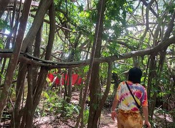 madagascar/nosy-be/attraction/mahatsingo-sacred-tree