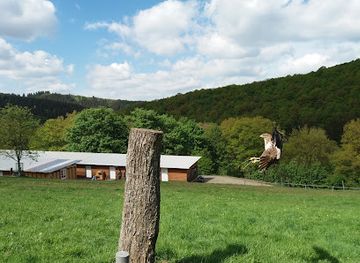 germany/westerwald/attraction/niederfischbach-e-v-zoo